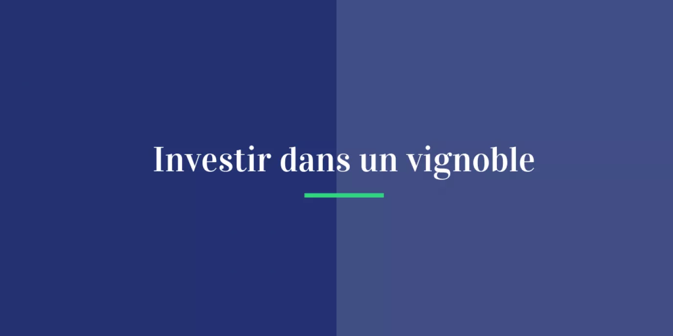 Investir dans un vignoble